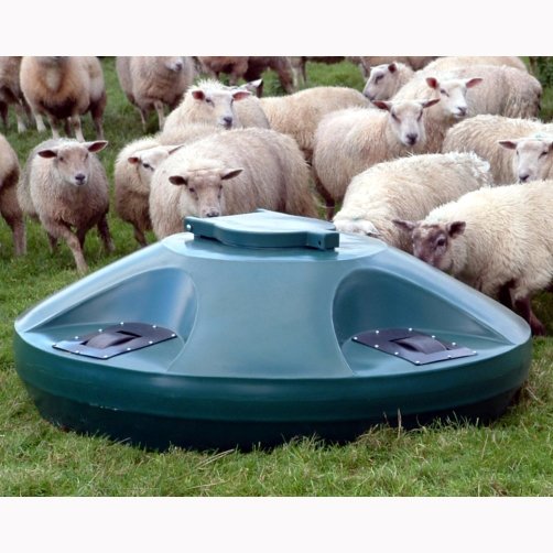 Molasses Feeder Suitable For Up To 200 Sheep Tanks IE