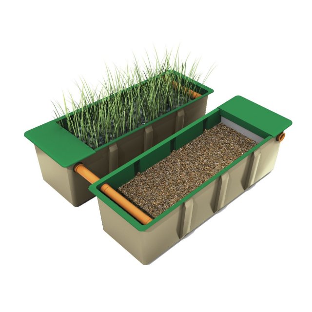 REED BED SINGLE TRAY